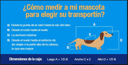 ¿Cómo medir a mi mascota para elegir su transportín?