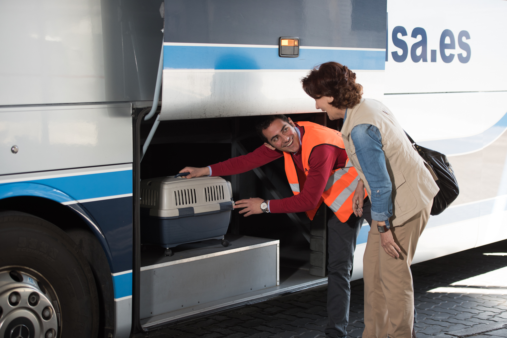 Consideraciones en el transporte de tu mascota el día del viaje