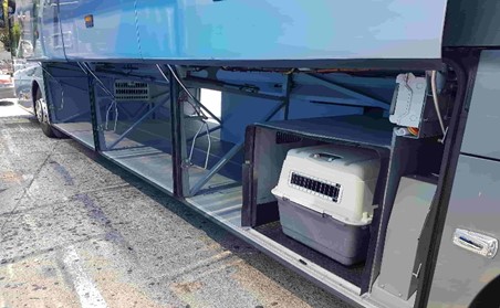 Bidaiari-lekua Supra autobusetan Maskotetarako bidaiari-lekua Supra autobusetan