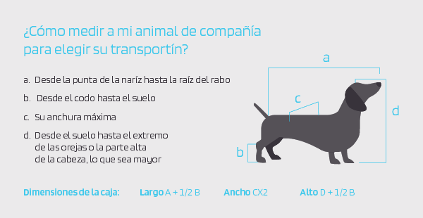 ¿Cómo medir a mi mascota para elegir su transportín?